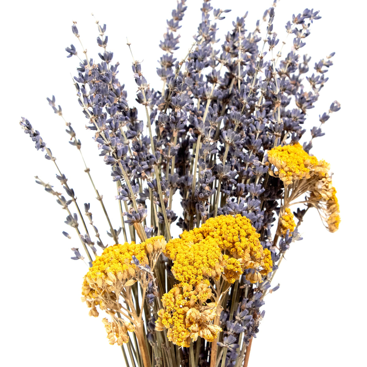 Lavender & Yarrow Bundle