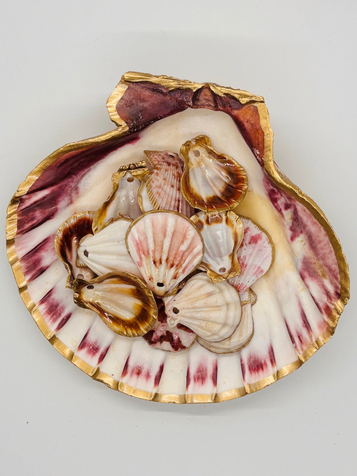 Lion's Paw Trinket Dish