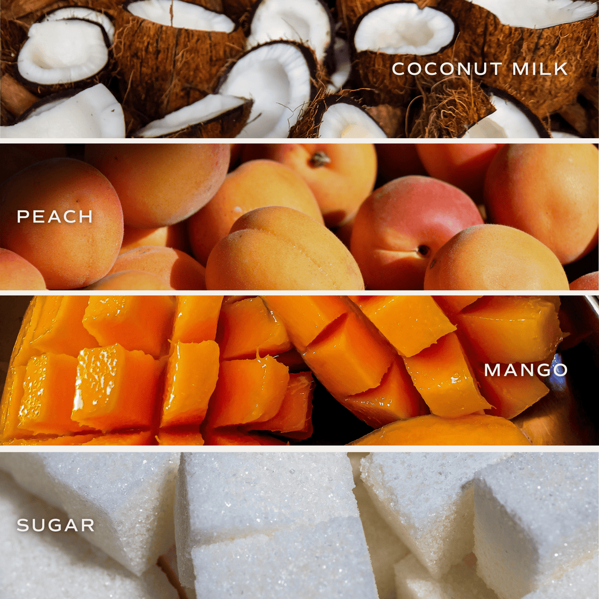 Mango and Coconut Soy Candle - Tinted Glass Jar - 12 oz
