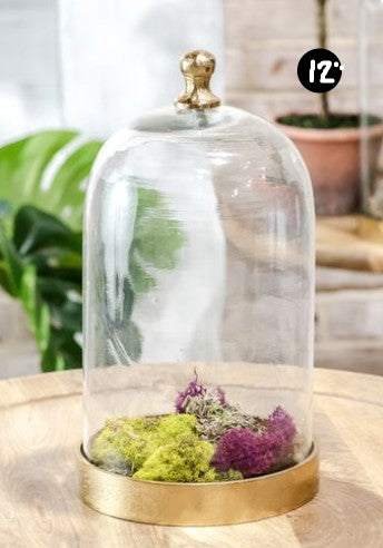 Glass Cloche with Gold Base, 3 Size Options