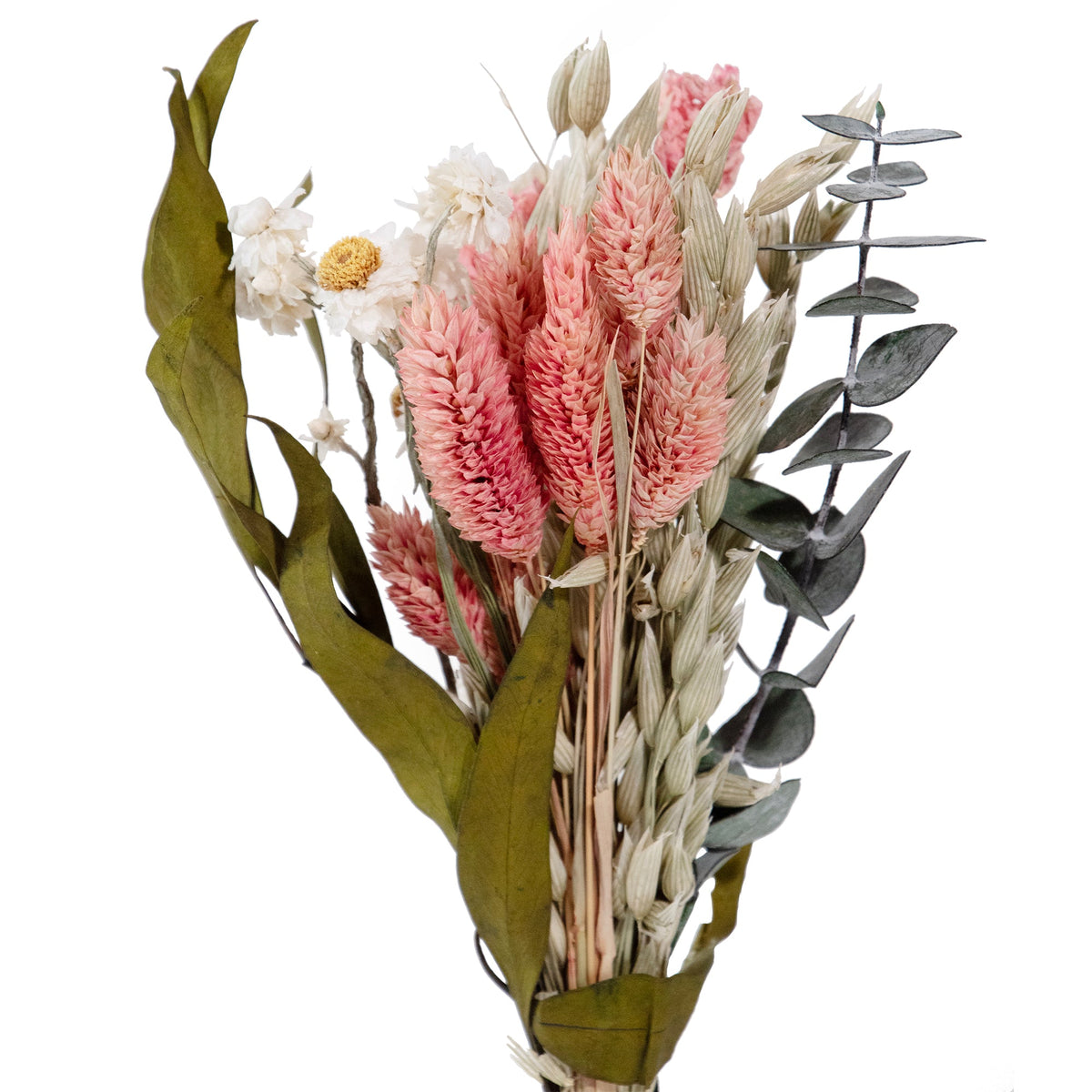 MINI Pink Larkspur & Baby Eucalyptus Bouquet Bundle