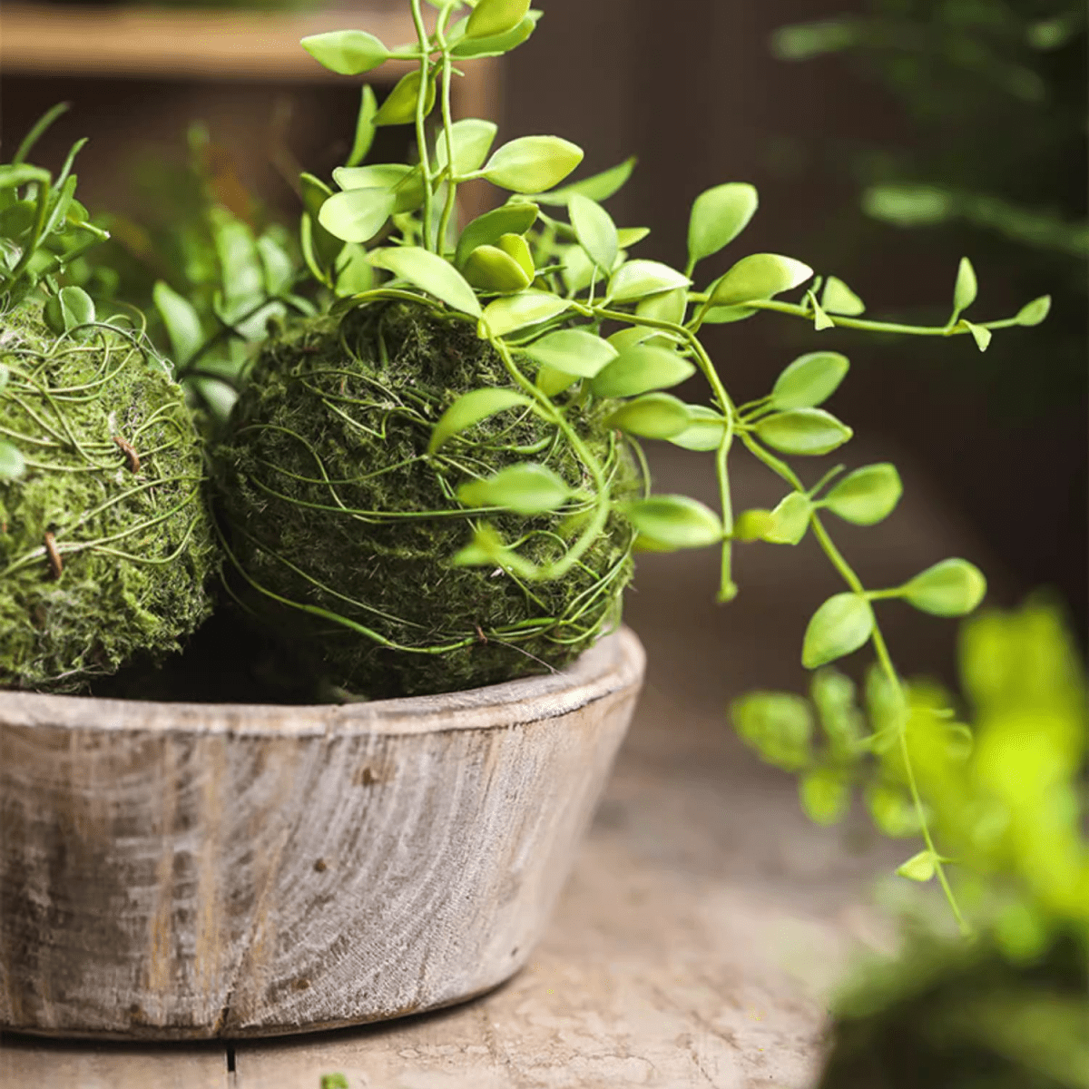 Mossy Meadow Foam Ball
