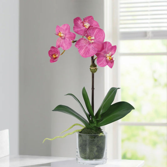 Faux Orchid Plant in Glass Vase