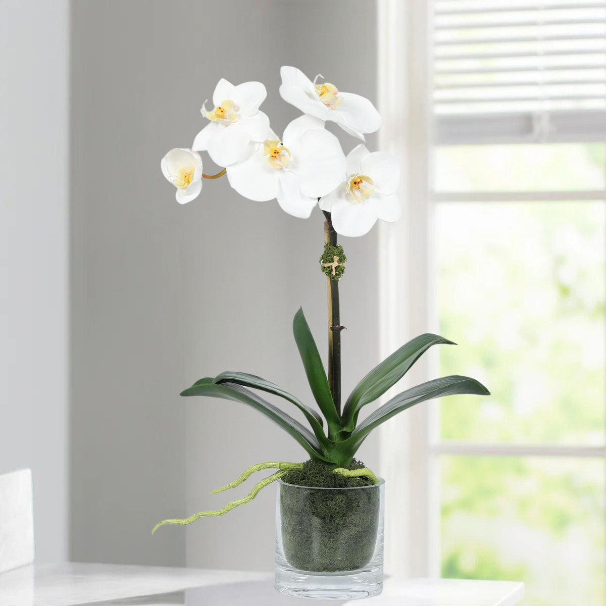 Faux Orchid Plant in Glass Vase