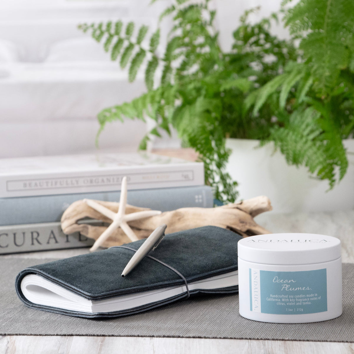 Ocean Plumes 6 oz. Tin Candle