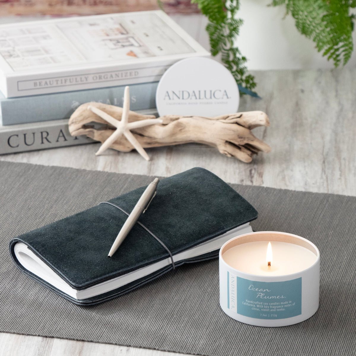 Ocean Plumes 6 oz. Tin Candle