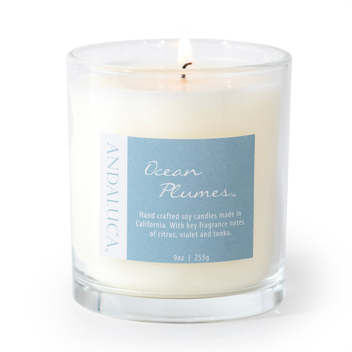 Ocean Plumes 9oz Candle