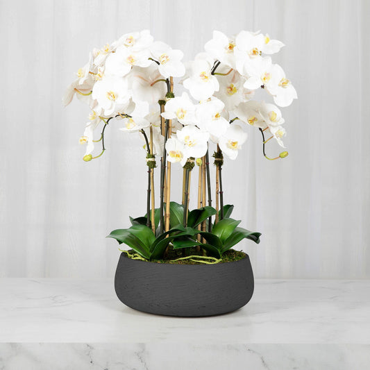 Faux White Orchid Arrangement in Matte Black Planter
