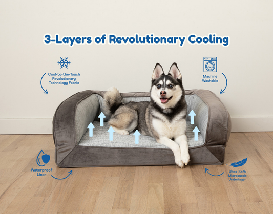 Lit pour chien à traversin rafraîchissant PupChill™