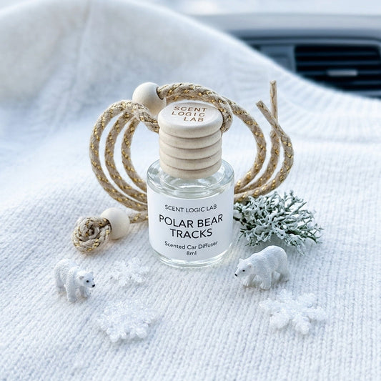 Diffuseur de voiture de luxe | 8 ml Parfums saisonniers et de fêtes premium