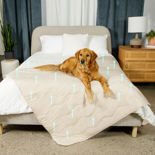 Couverture rafraîchissante et imperméable PupChill™ - Sable arctique