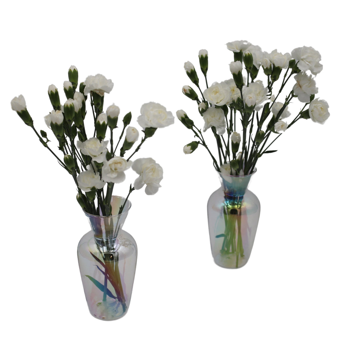 Rainbow Prism Glass Vases – Pair