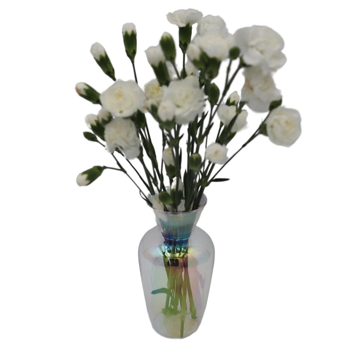 Rainbow Prism Glass Vases – Pair