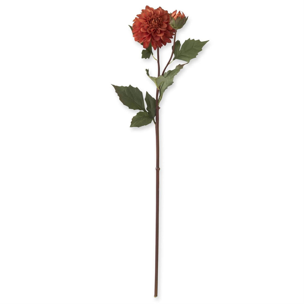 26" Rust Bud & Blossom Faux Dried Dahlia Stem