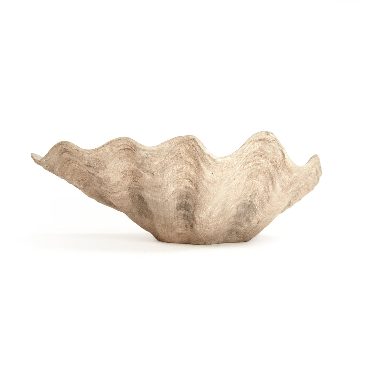 Tridacna Half Shell Bowl 13.5 in