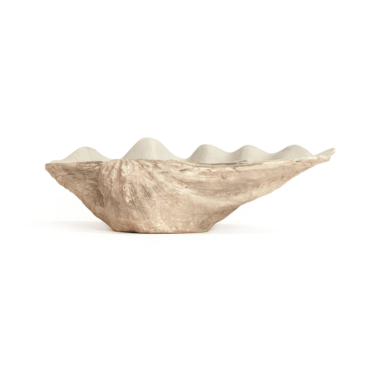 Tridacna Half Shell Bowl 13.5 in