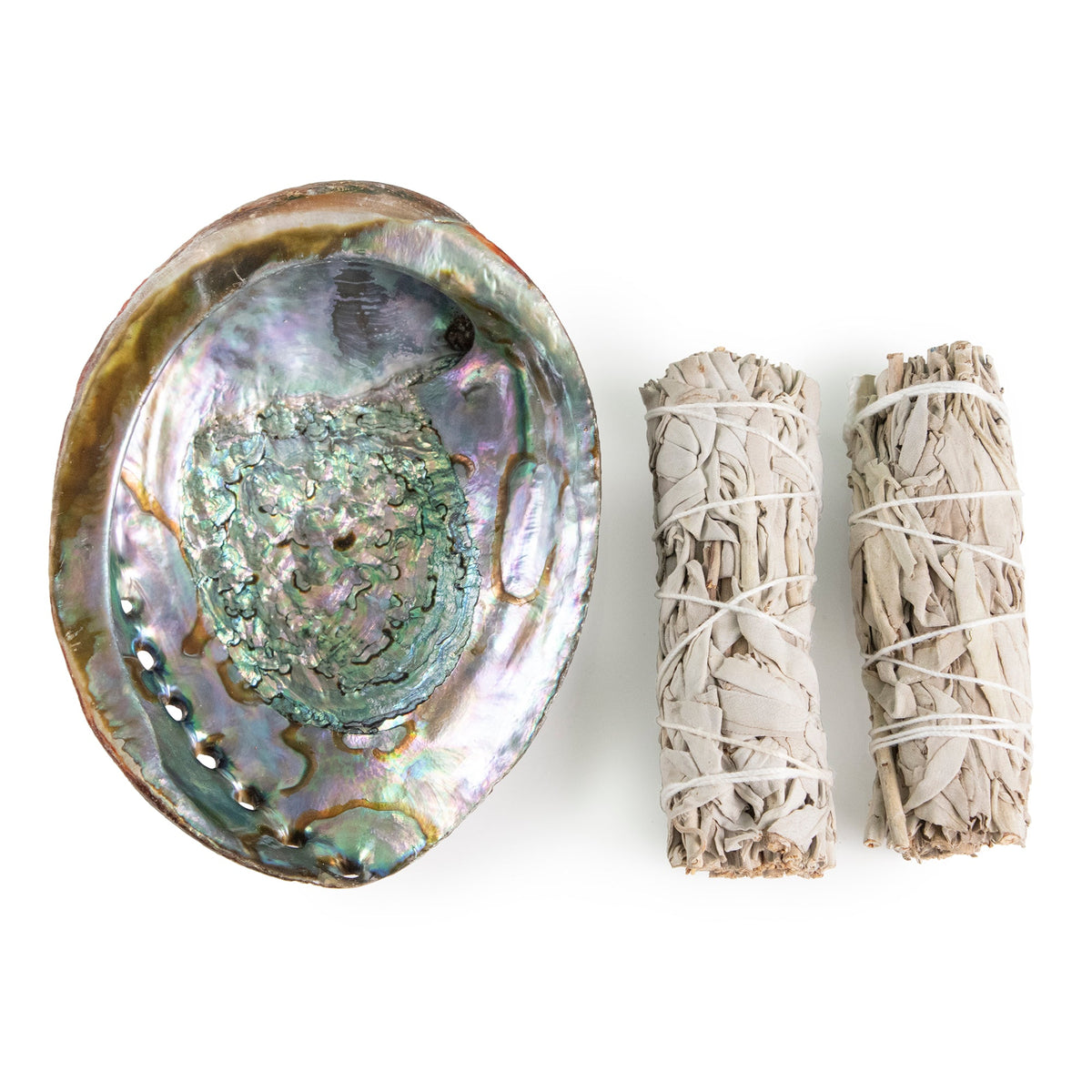 Abalone Shell