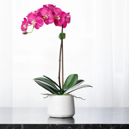 Silk orchid plant - pink phalaenopsis orchid in white pot - 21"