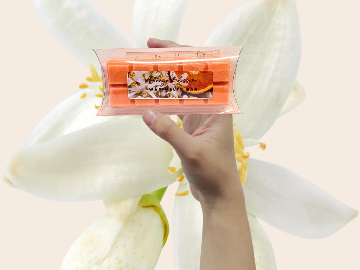Wax Melts Bar – Best-Selling Signature | 18 Scents