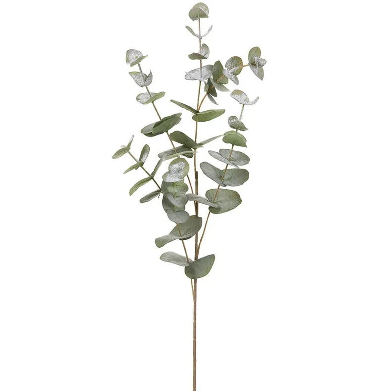 34" Snowed Eucalyptus Spray | Frosted Winter Greenery