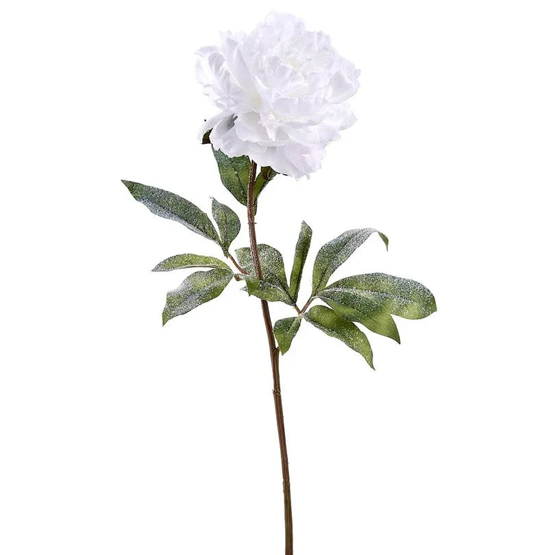 28" Snowed Peony Spray | White Winter Floral Stem