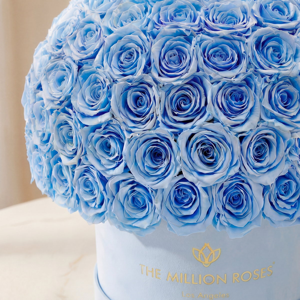Scatola Superdome in camoscio azzurro Supreme | Rose azzurre