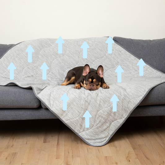 Couverture rafraîchissante et imperméable PupChill™ - Gris Arctique