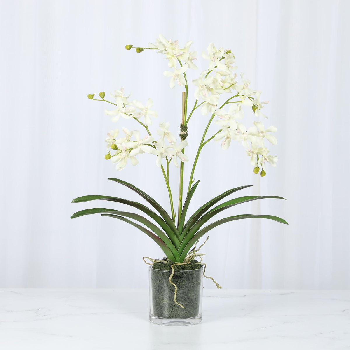 Orchid Arrangement in Vase - 24"