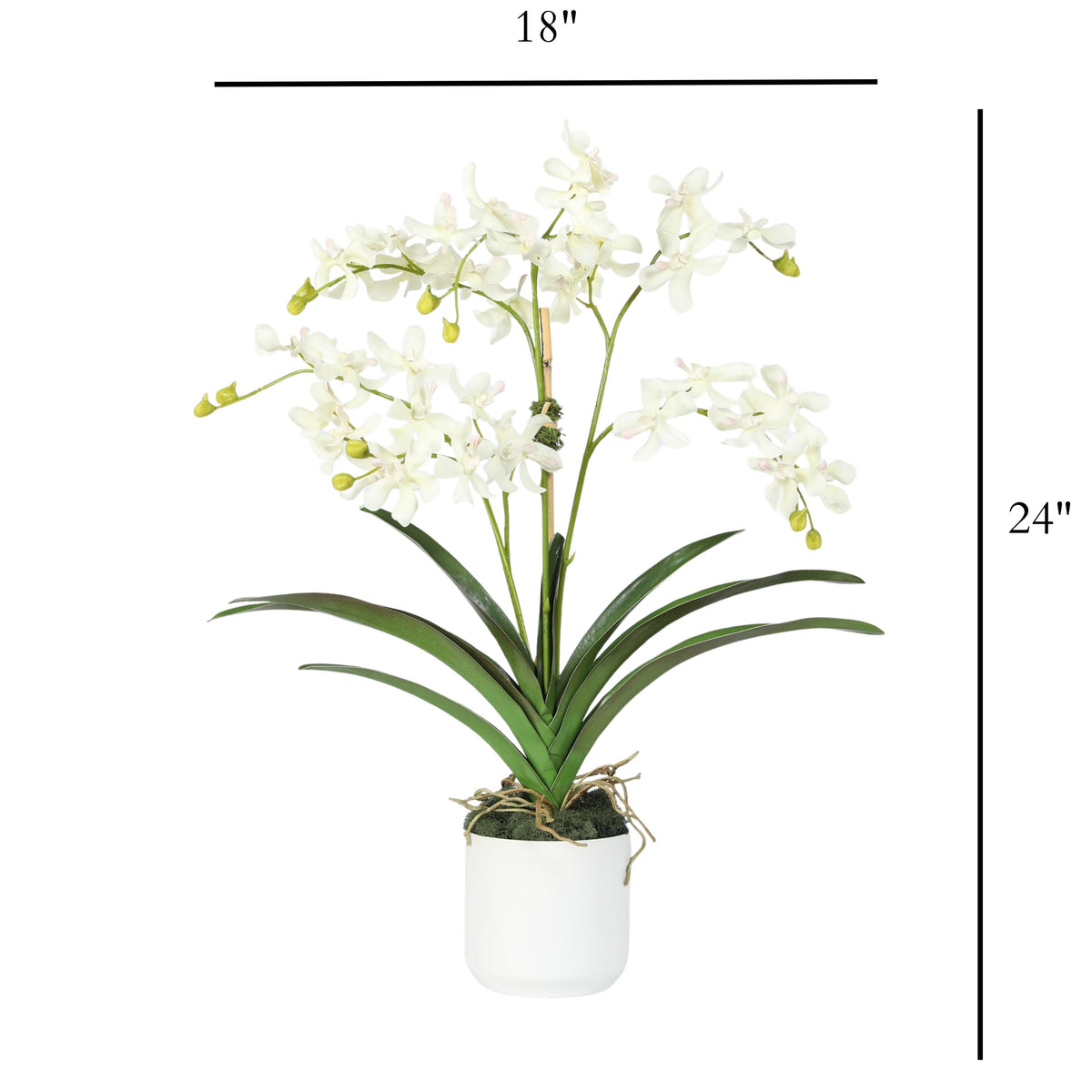 Orchid Arrangement in Vase - 24"