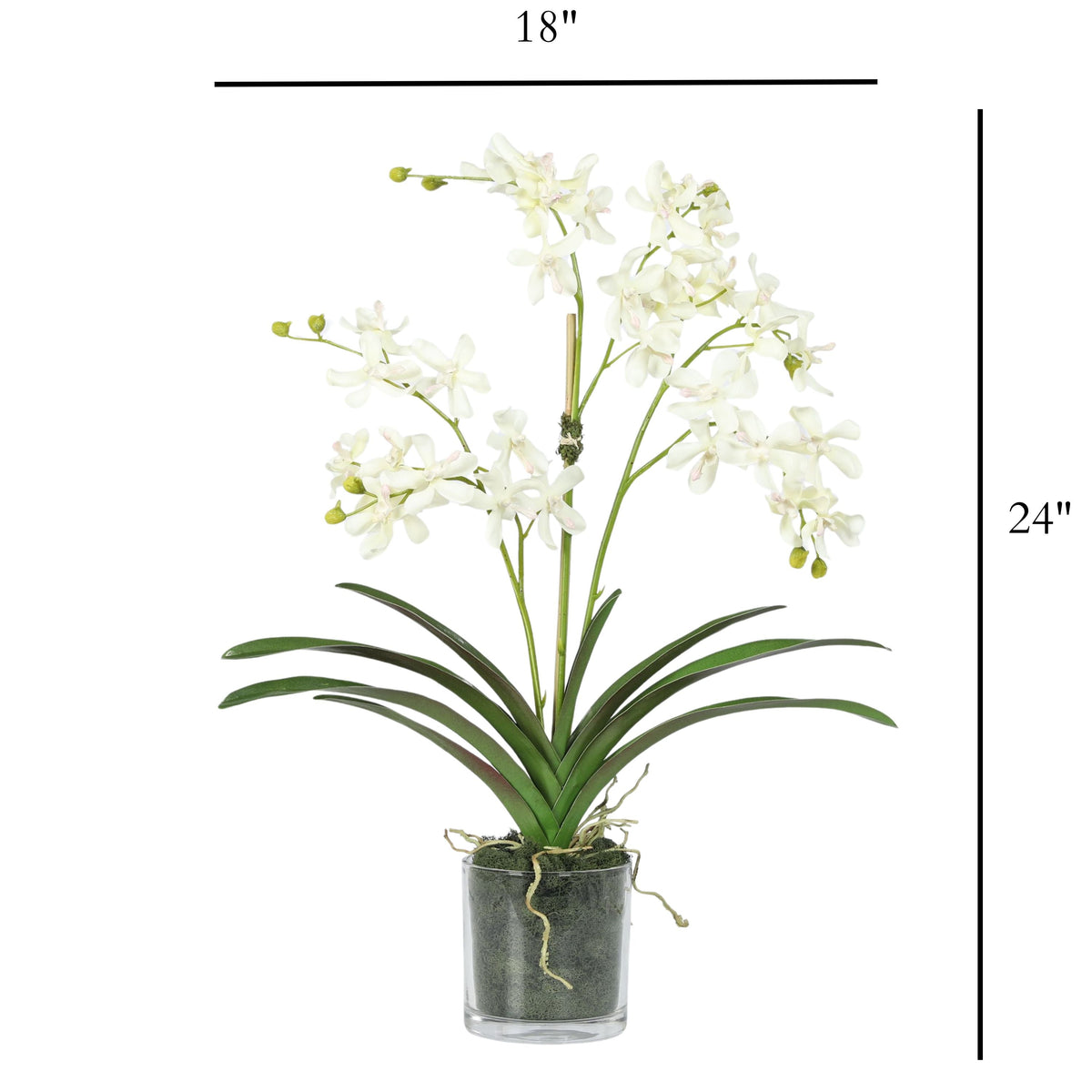Orchid Arrangement in Vase - 24"