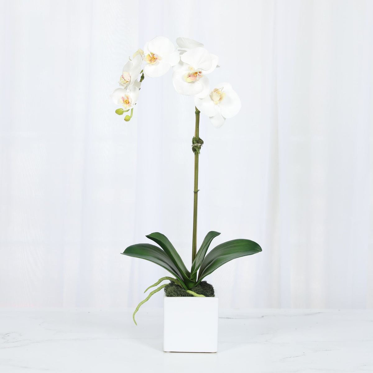 Faux Orchid Plant in Square Vase - 20"