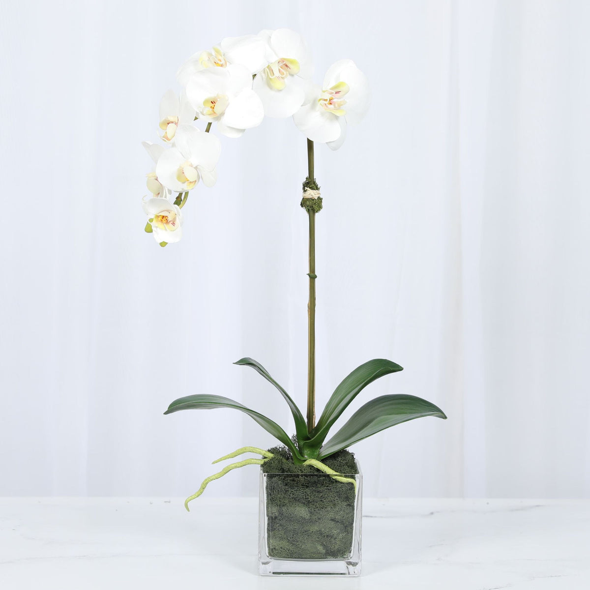 Faux Orchid Plant in Square Vase - 20"