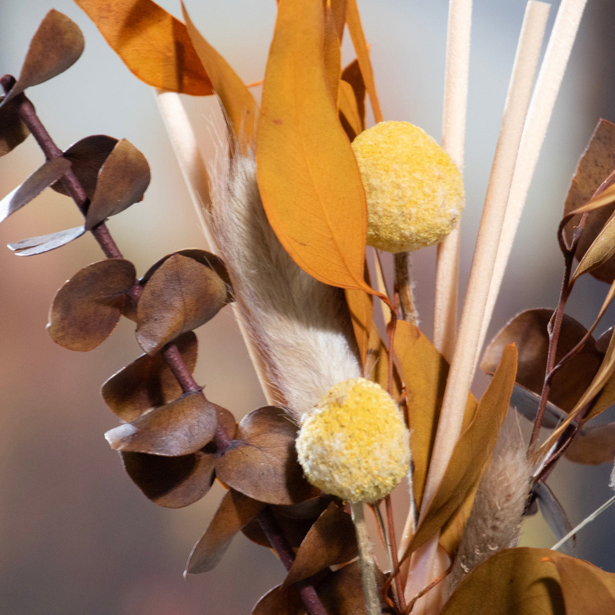 Amber Eucalyptus Floral Fragrance Reed Diffuser