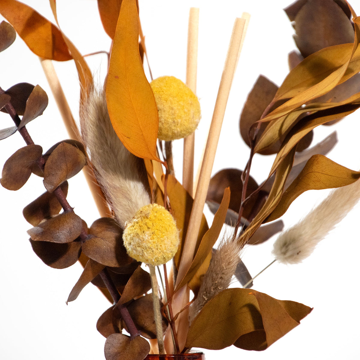 Amber Eucalyptus Floral Fragrance Reed Diffuser