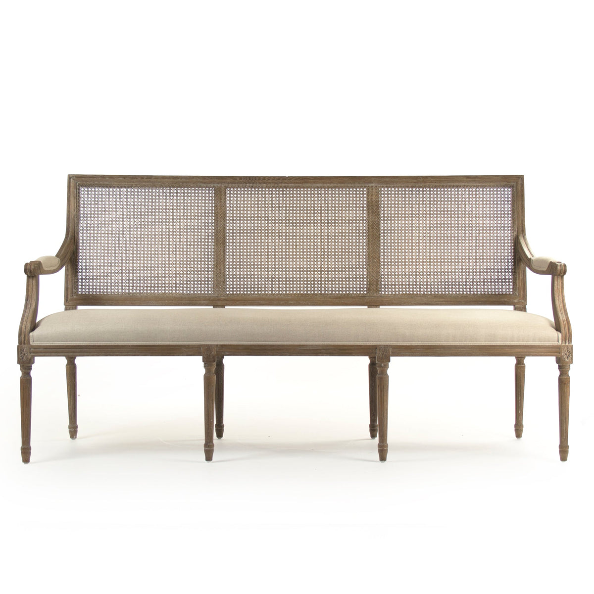 Louis Cane Back Bench