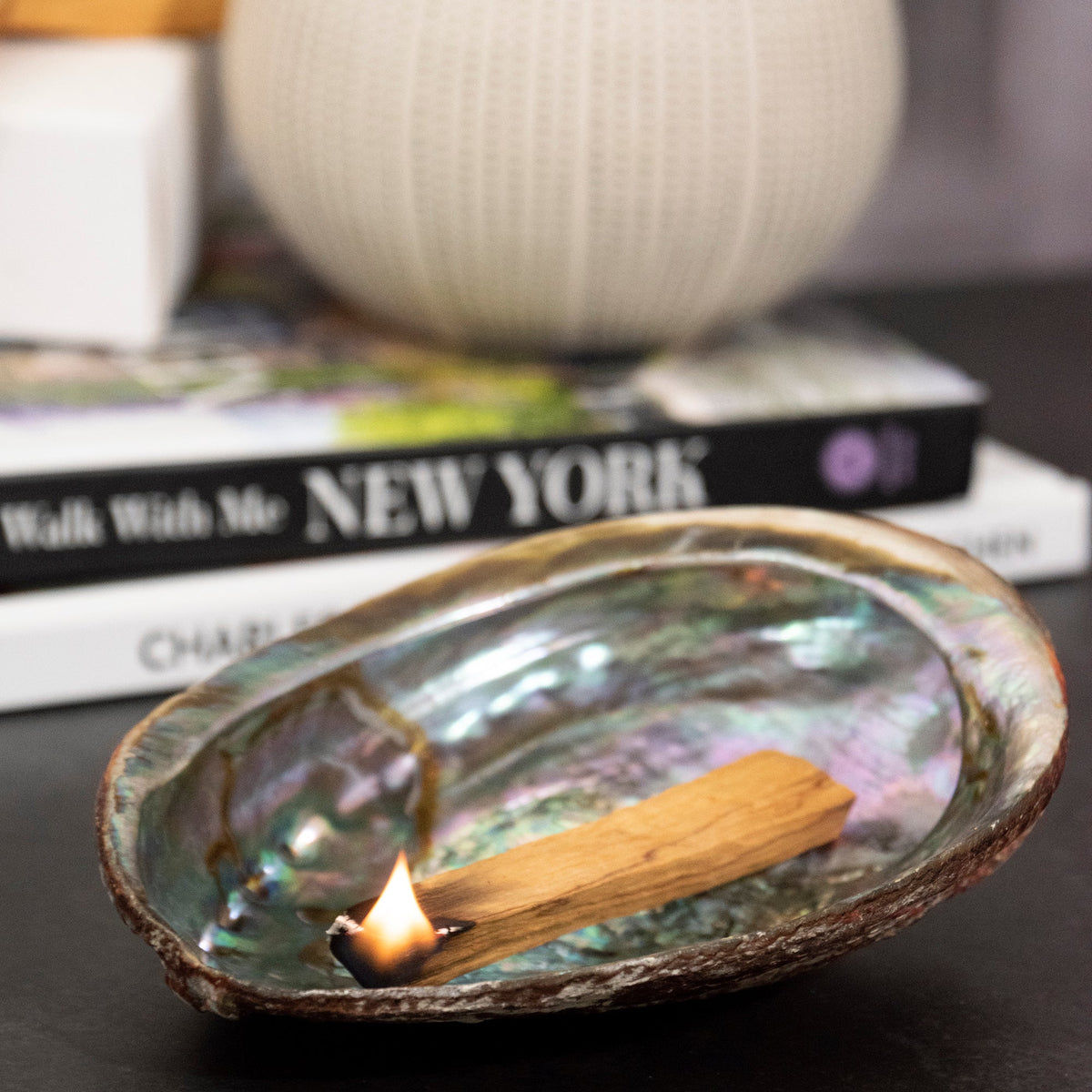 Abalone Shell