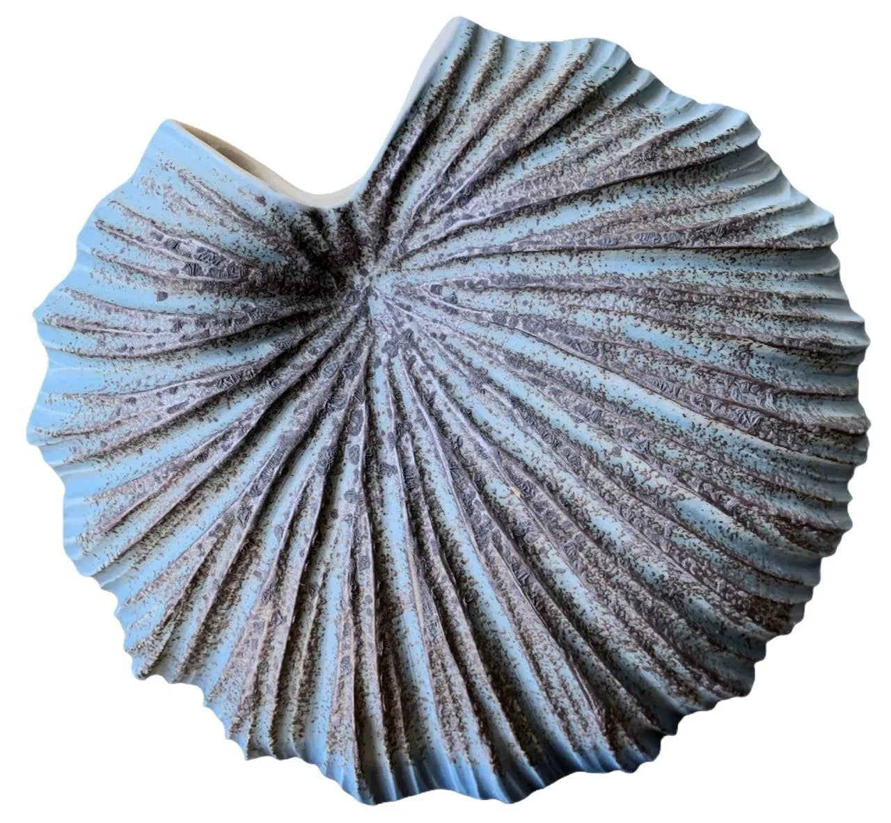 Ocean Muse Porcelain Cockle Shell Vase