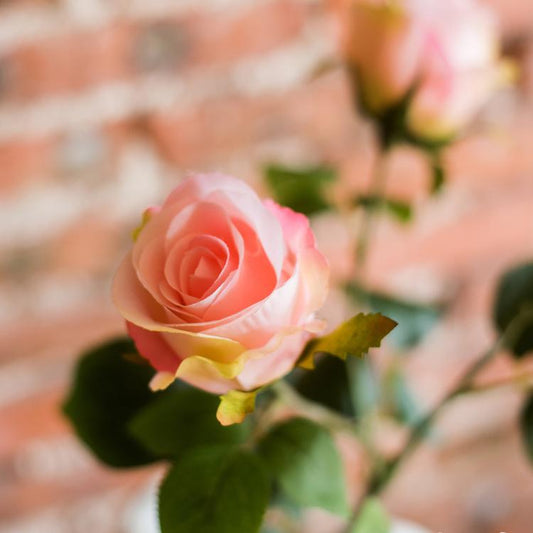 Tige de 4 roses artificielles en soie, rose clair, 79 cm de hauteur