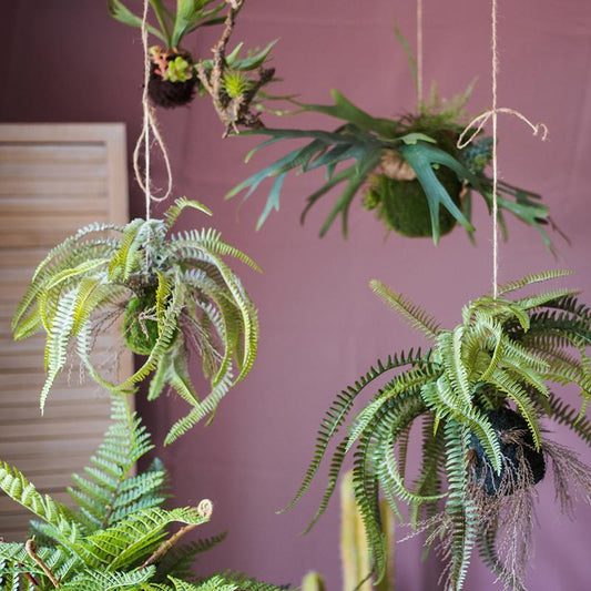 Plante artificielle fougère suspendue décoration