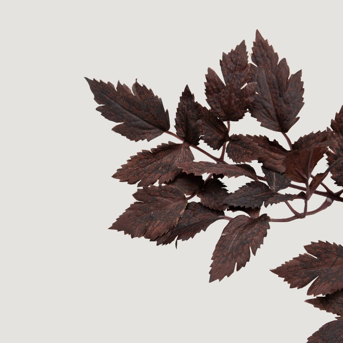 Plum Cimicifuga Ramosa Leaf Spray 31" - Single Stem Artificial Botanical