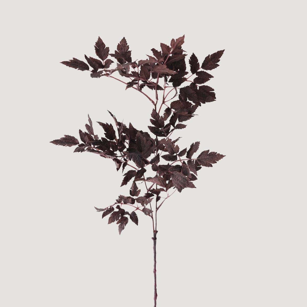 Plum Cimicifuga Ramosa Leaf Spray 31" - Single Stem Artificial Botanical