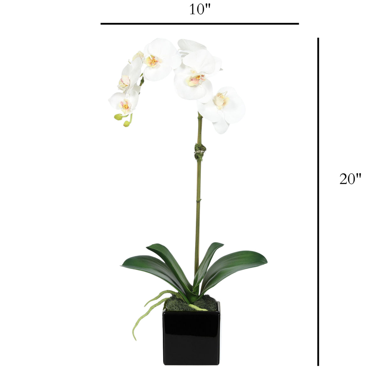 Faux Orchid Plant in Square Vase - 20"