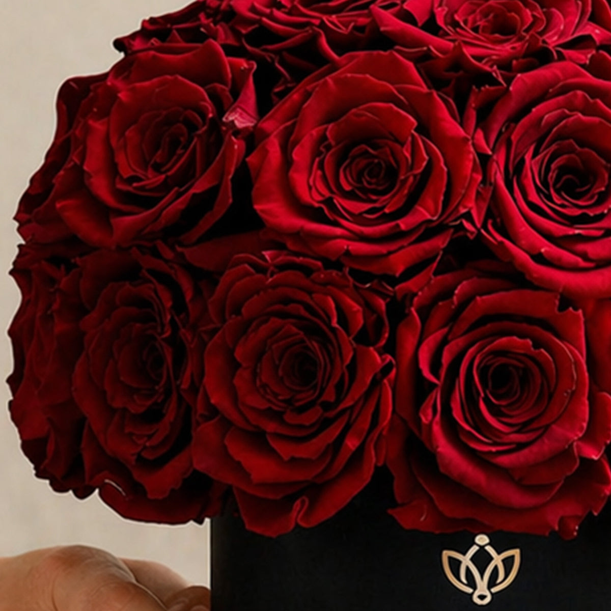 Essence Black Superdome Box | Rose Rosse