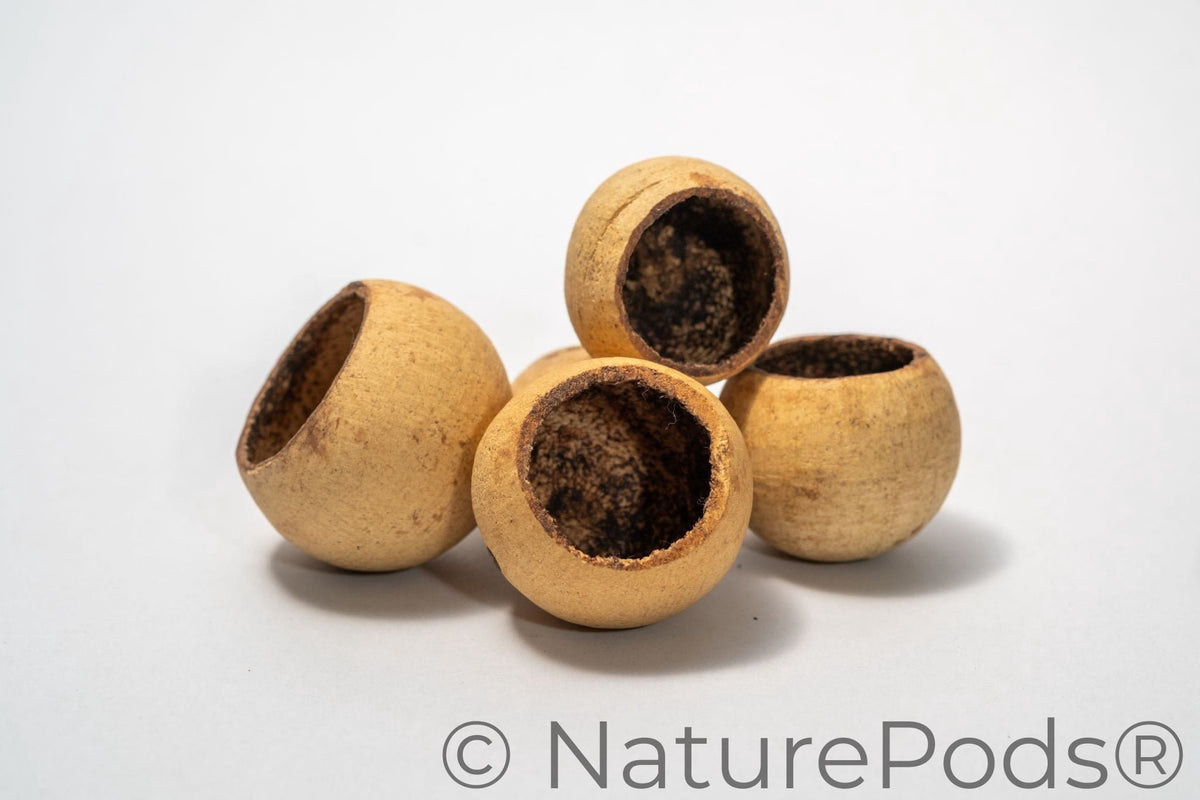 Mini Bell Cups
