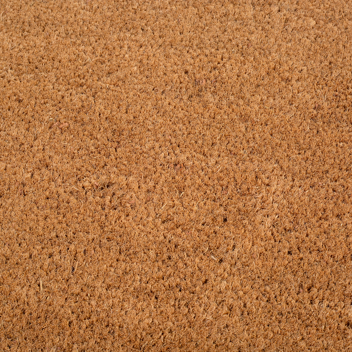 Black Border Coir Doormat