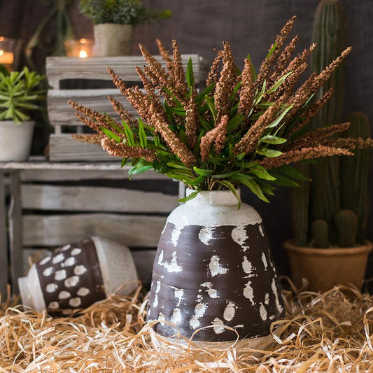Buddleja, cespuglio delle farfalle, set da 18" di altezza