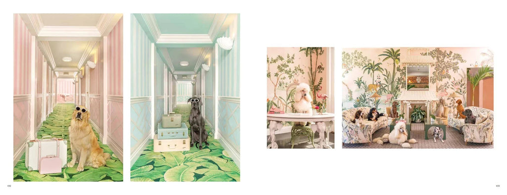 Gray Malin "Dogs" Hardcover Fine Art Photography Coffee Table Book