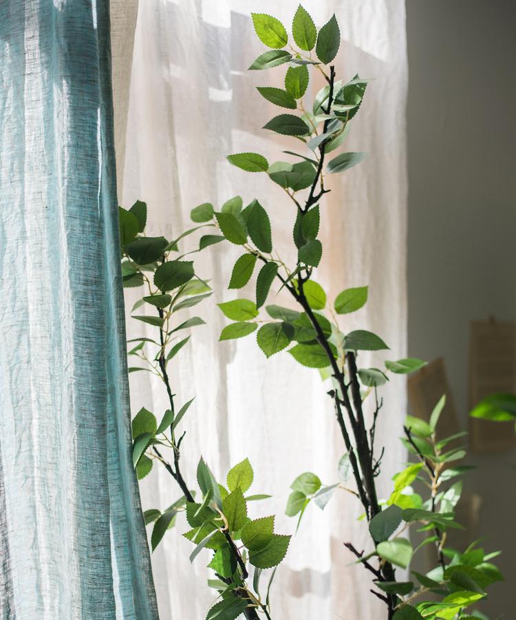 Camellia Green Leaf Stem