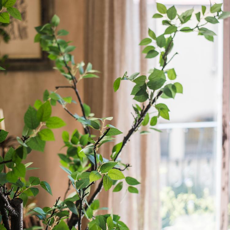 Camellia Green Leaf Stem