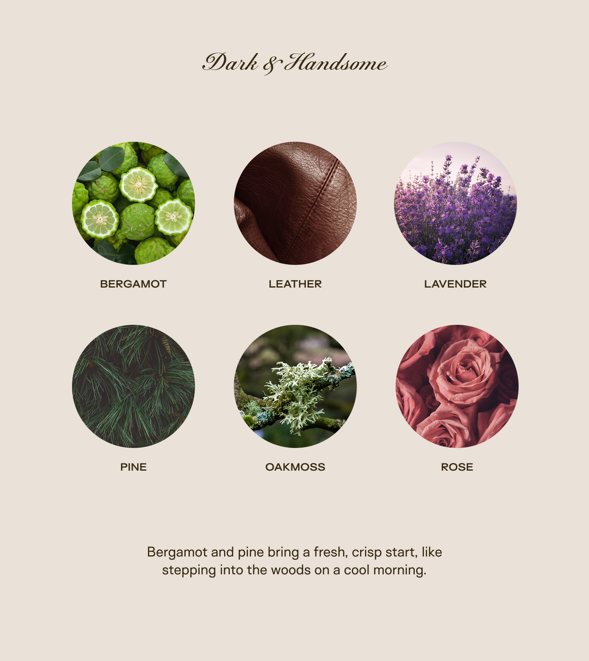 Trio Bundle All Scents